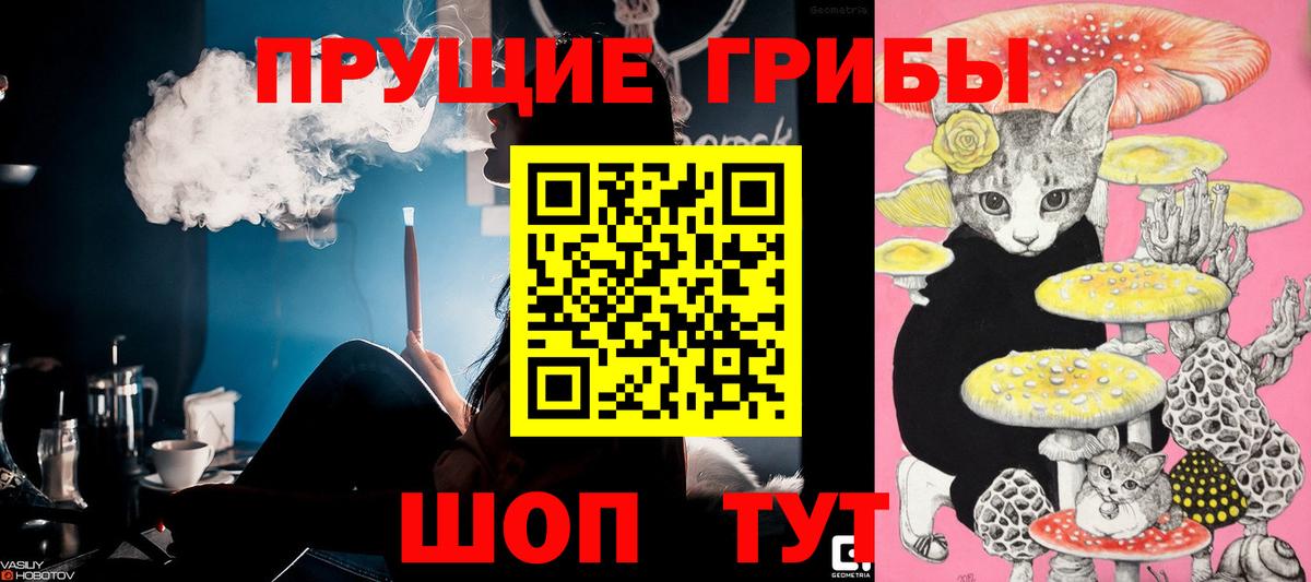 Псилоцибиновые грибы MAGIC MUSHROOMS Асбест