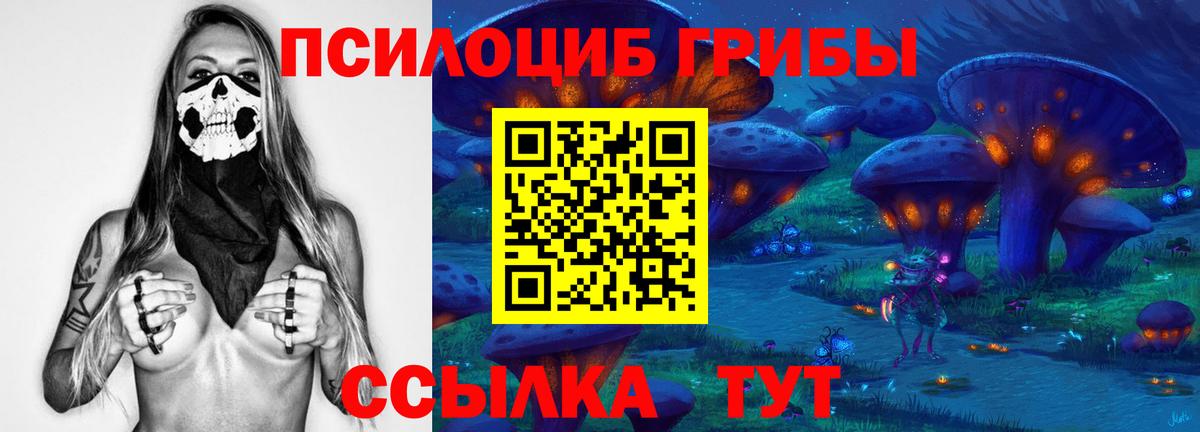 Псилоцибиновые грибы Cubensis  Вход с VPN  Асбест 